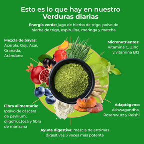 viktilabs-daily-greens-infographic-ingredients [lang-es]