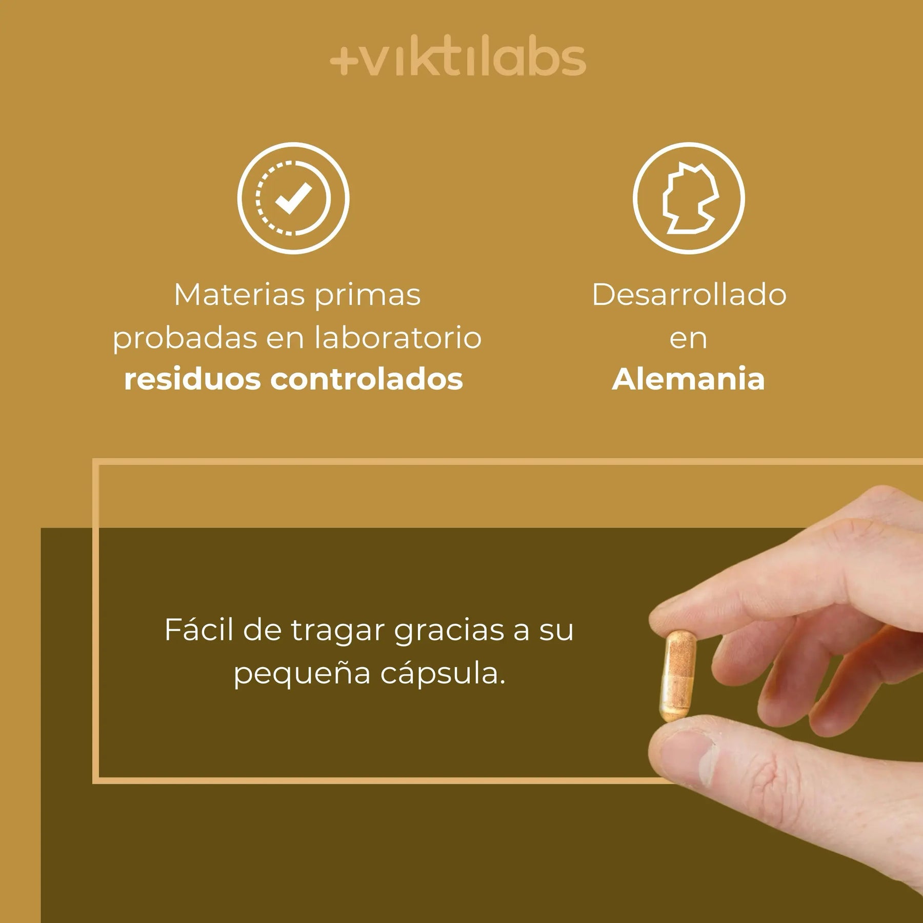 viktilabs-mandelpilz-infografik-uso del producto [lang-es]