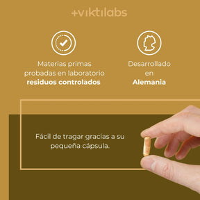 viktilabs-mandelpilz-infografik-uso del producto [lang-es]