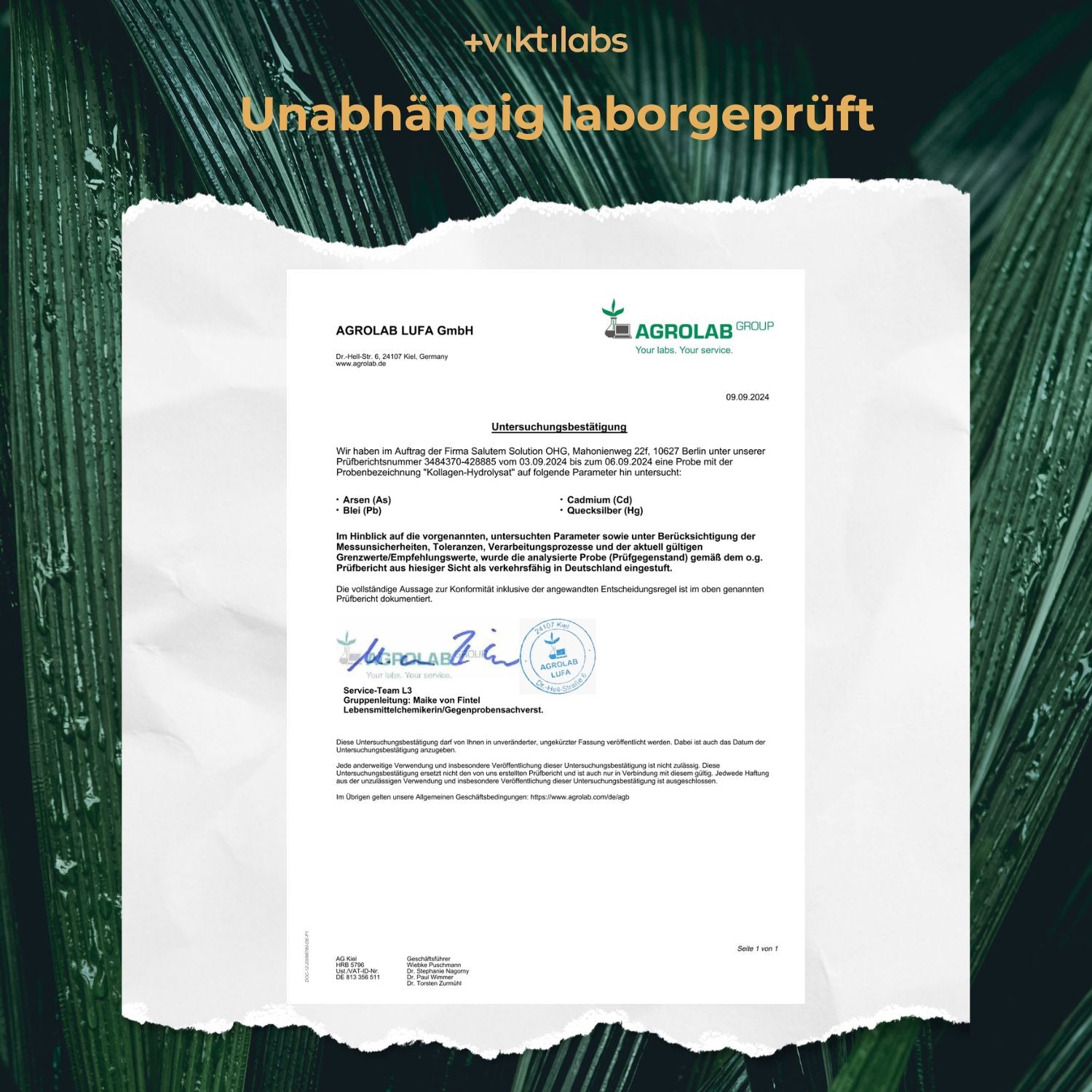 viktilabs Analyse Untersuchung 2024 Kollagen [lang-de]