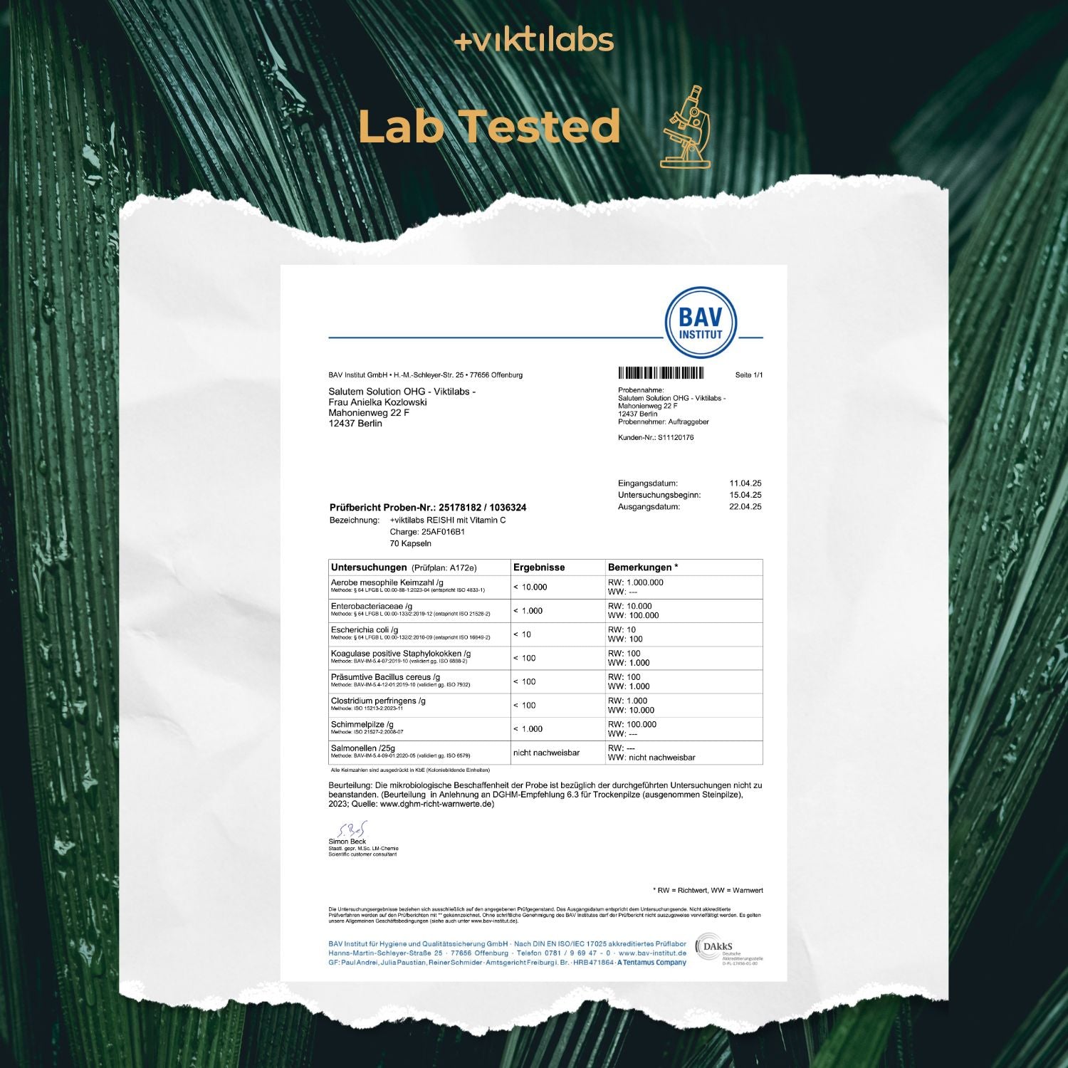 Viktilabs Analyse Untersuchung 2025 Reishi EN [lang-en]