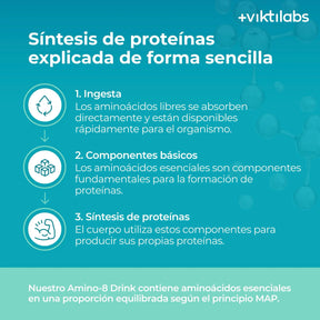 viktilabs-amino-8-zitrone-infografik-proteinsynthese [lang-es]