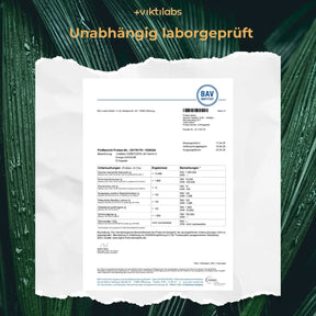 viktilabs-cordyceps-zertifikat-1 [lang-de]