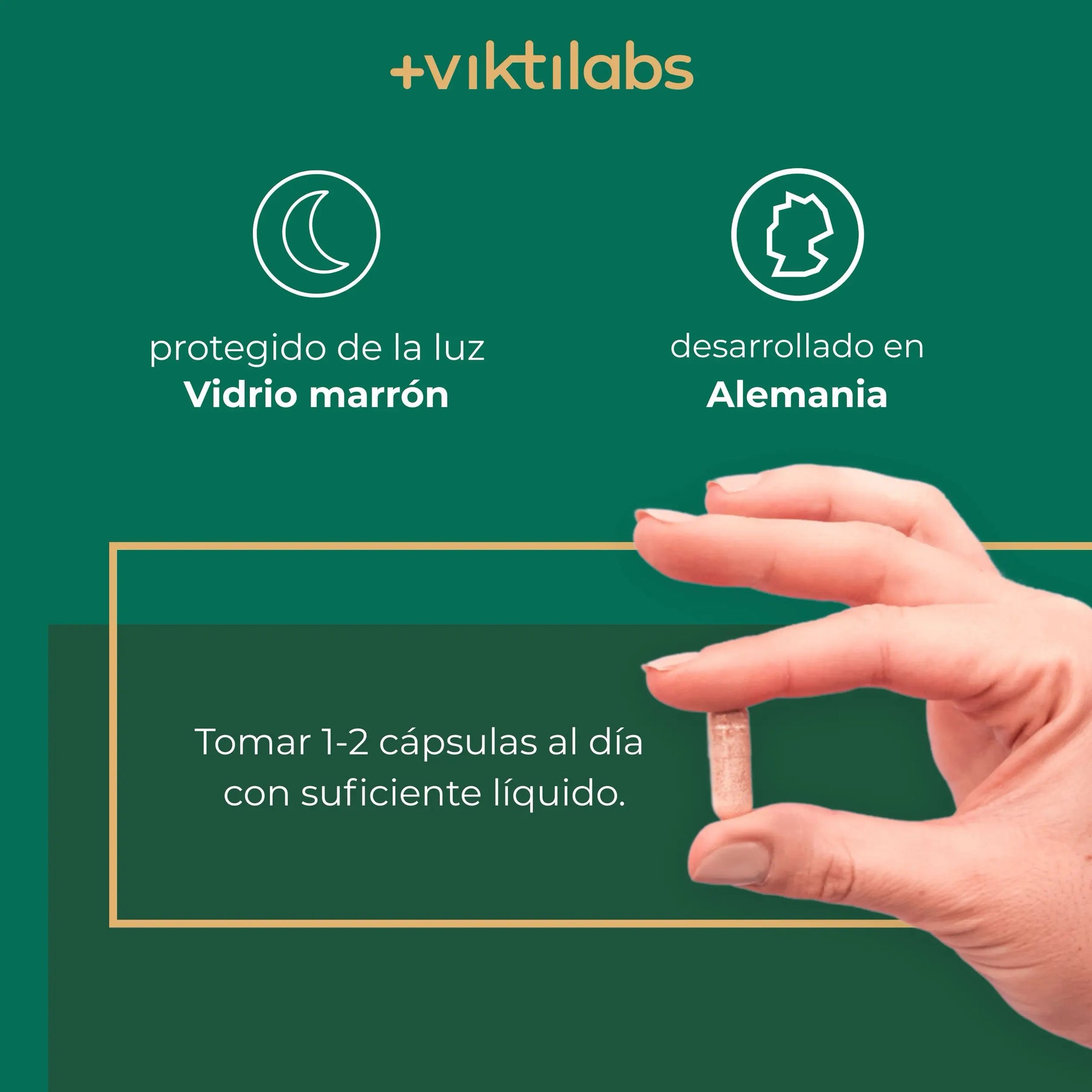 viktilabs-l-theanin-infografik-uso del producto [lang-es]