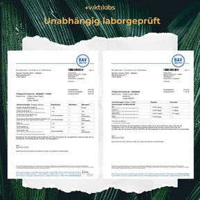 viktilabs-omega-3-vegan-zertifikat-1 [lang-de]