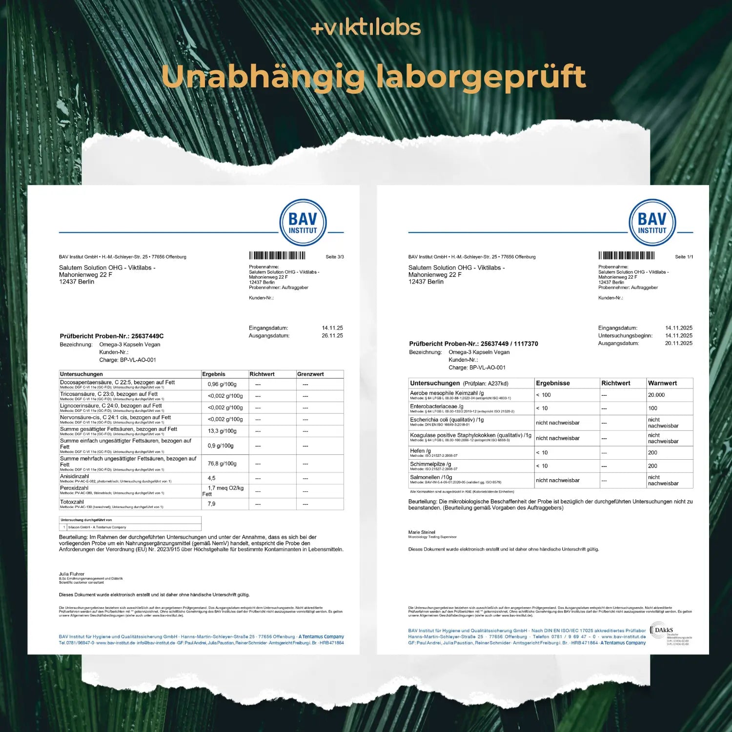 viktilabs-omega-3 v kapseln-zertifikat-2 [lang-de]
