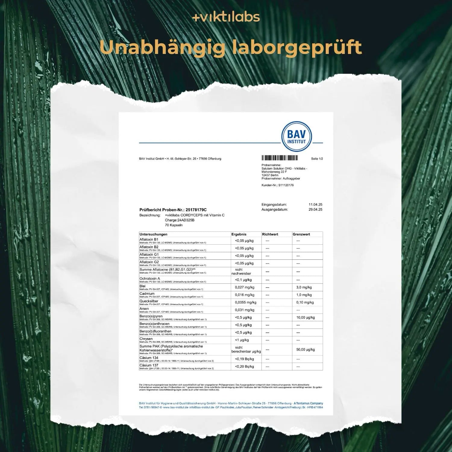 viktilabs-cordyceps-zertifikat-2 [lang-de]