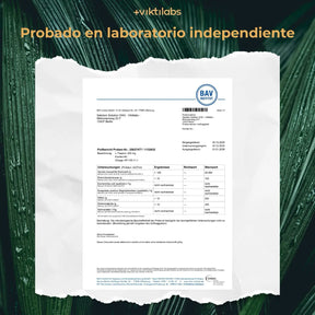 viktilabs-l-theanin-zertifikat-1 [lang-es]