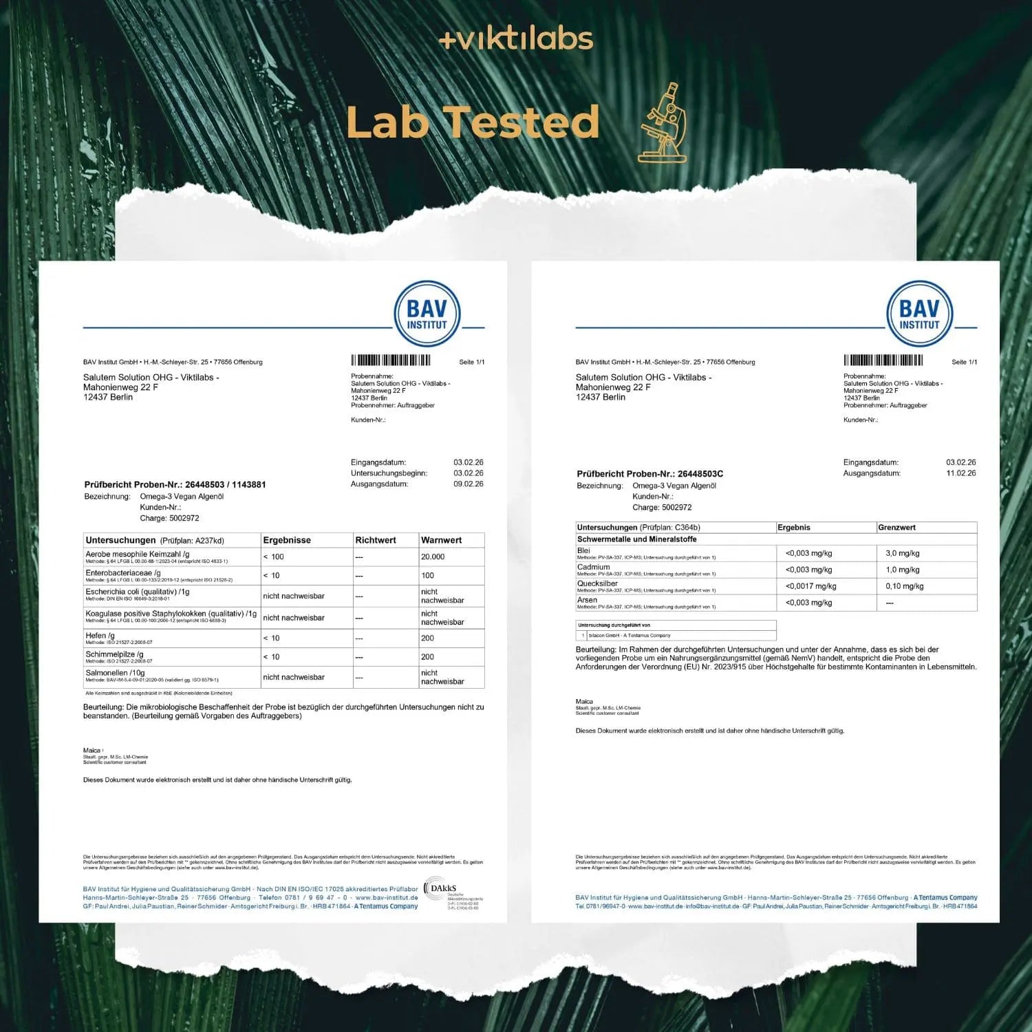 viktilabs-omega-3-vegan-zertifikat-1 [lang-en]