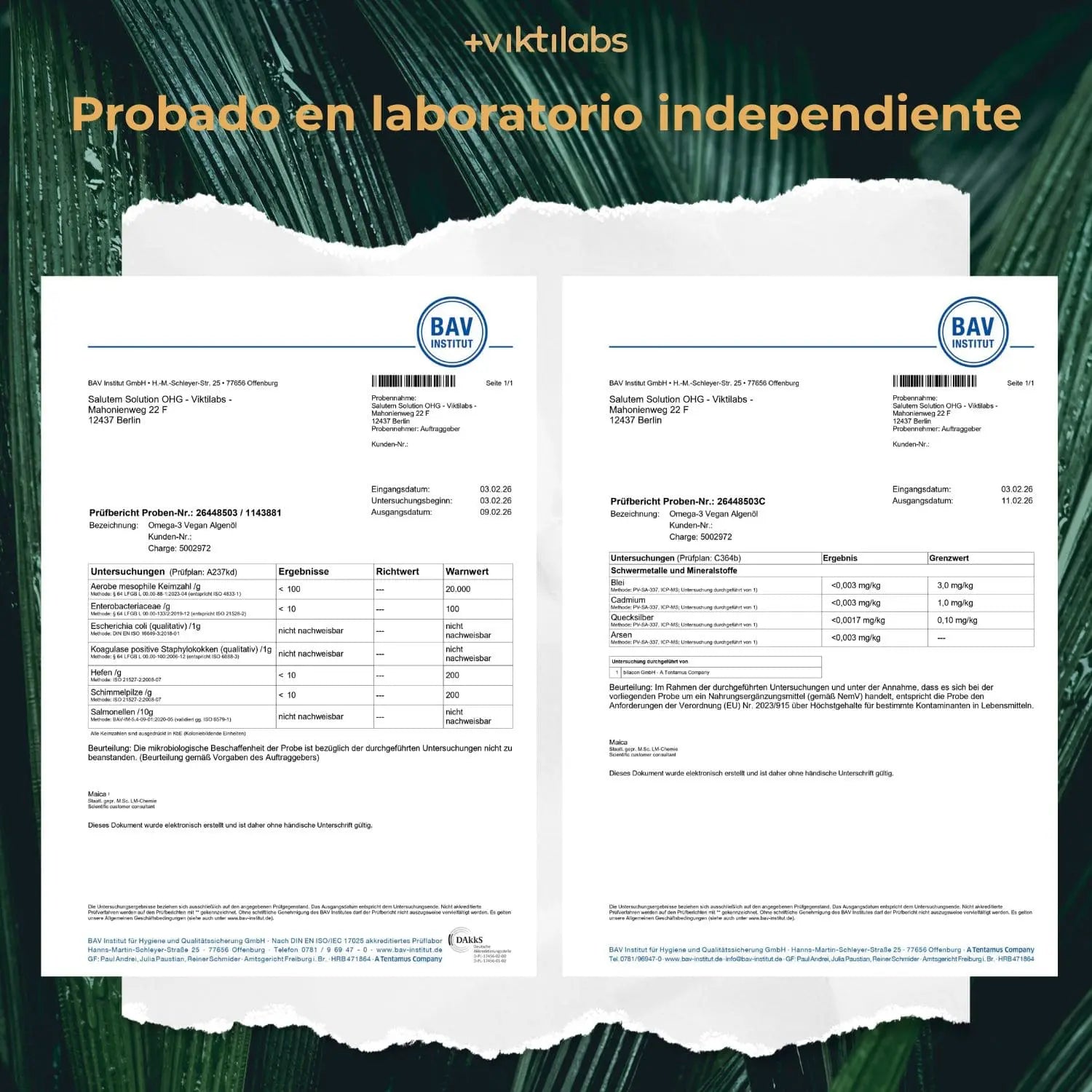 viktilabs-omega-3-vegan-zertifikat-1 [lang-es]