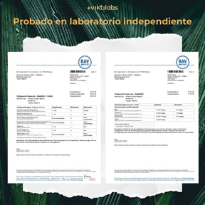 viktilabs-omega-3-vegan-zertifikat-1 [lang-es]