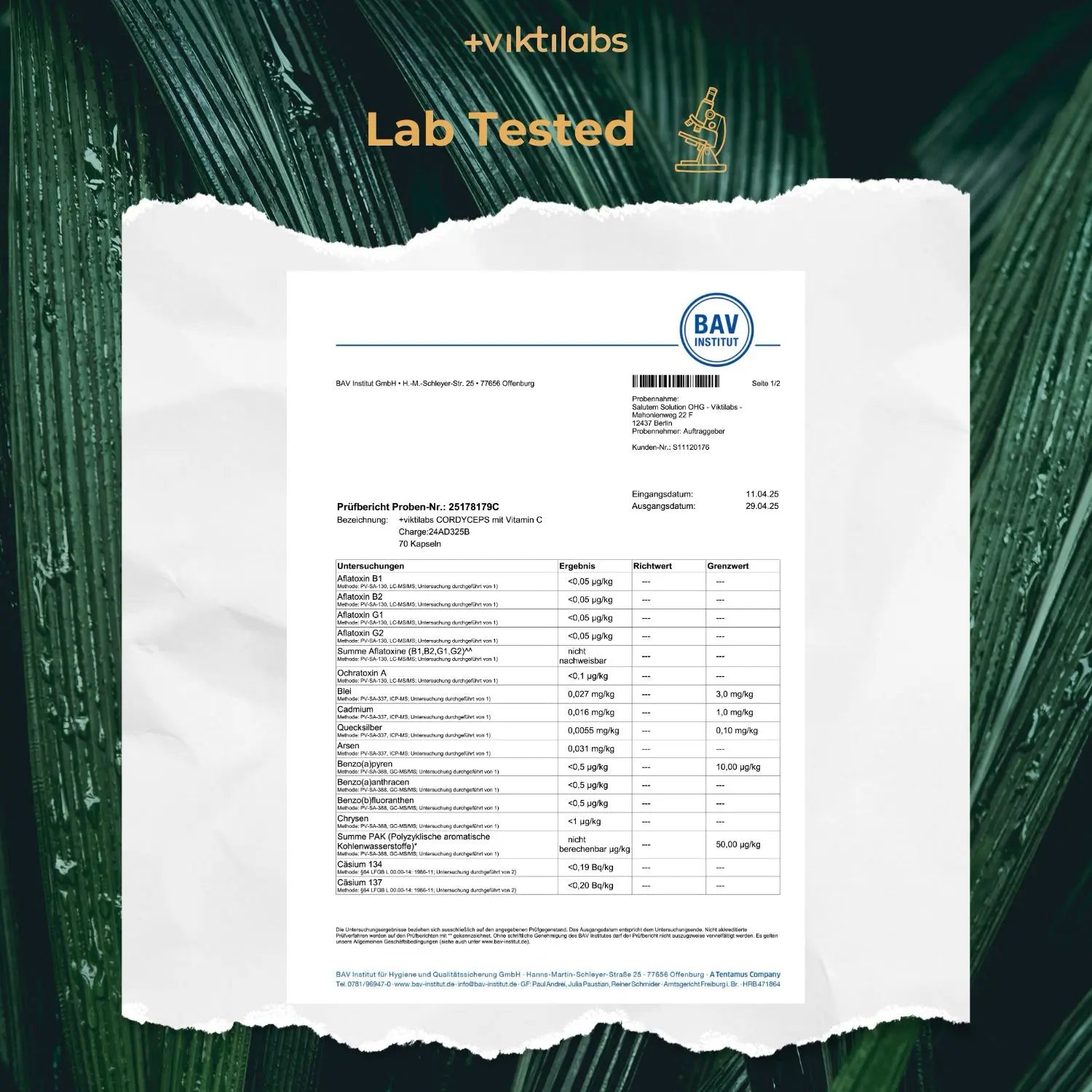 viktilabs-cordyceps-zertifikat-2 [lang-en]
