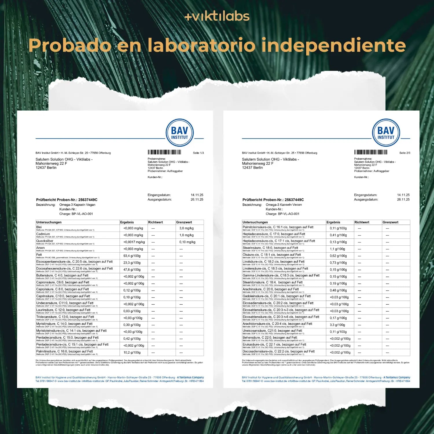 viktilabs-omega-3-v-kapseln-zertifikat-1 [lang-es]