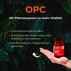 Pflanzenpower Paket: Kurkuma, OPC, Bio Grapefruitextrakt
