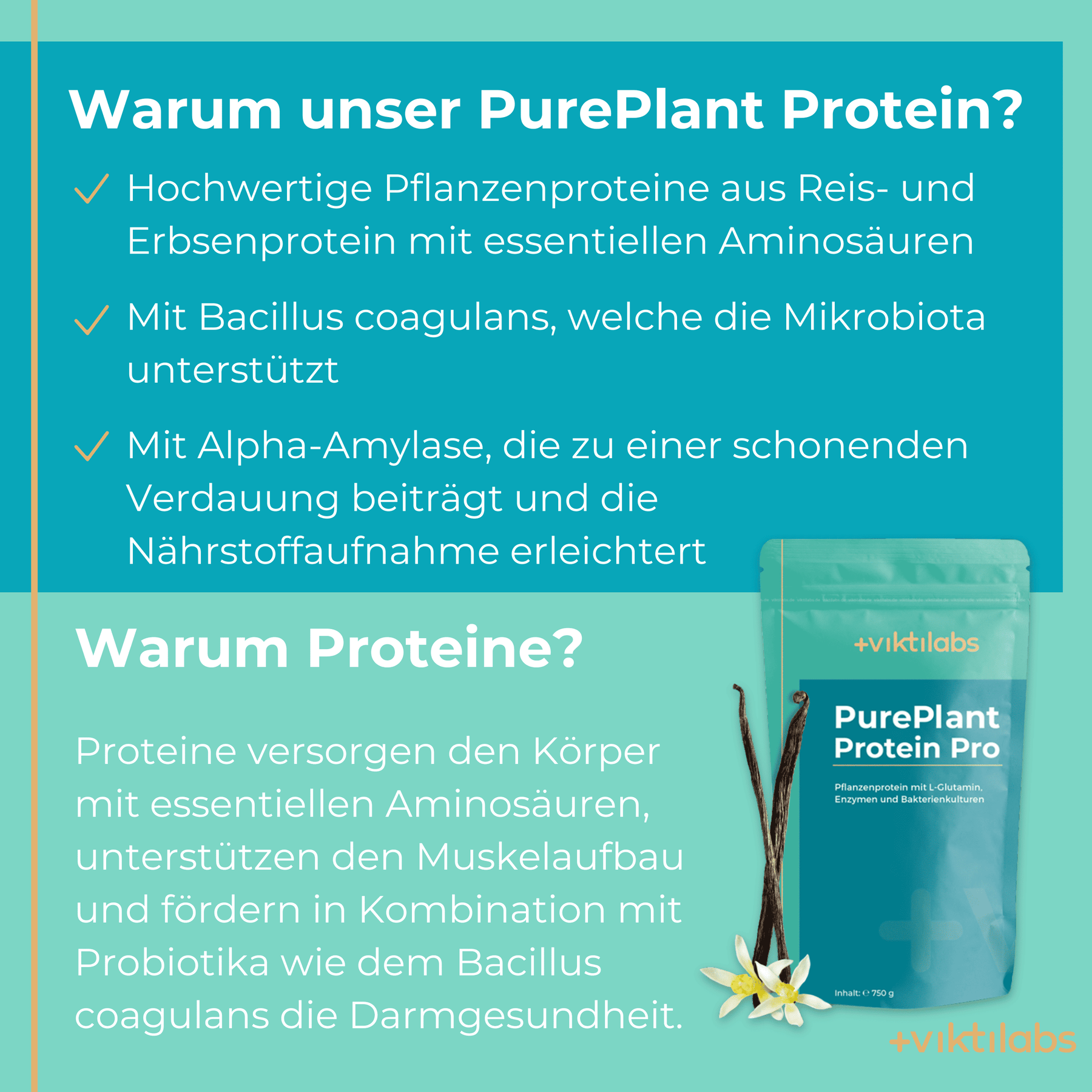 DE PurePlant Protein Pro 1 [lang-de]