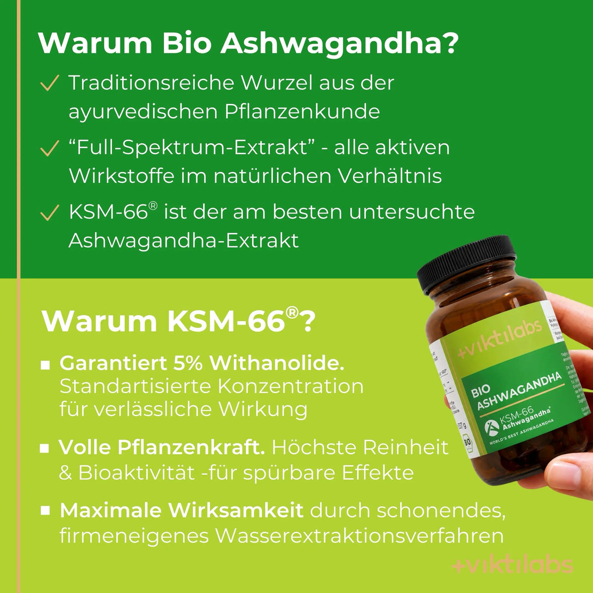 viktilabs-Ashwagandha-infografik-warum-unser-produkt [lang-de]