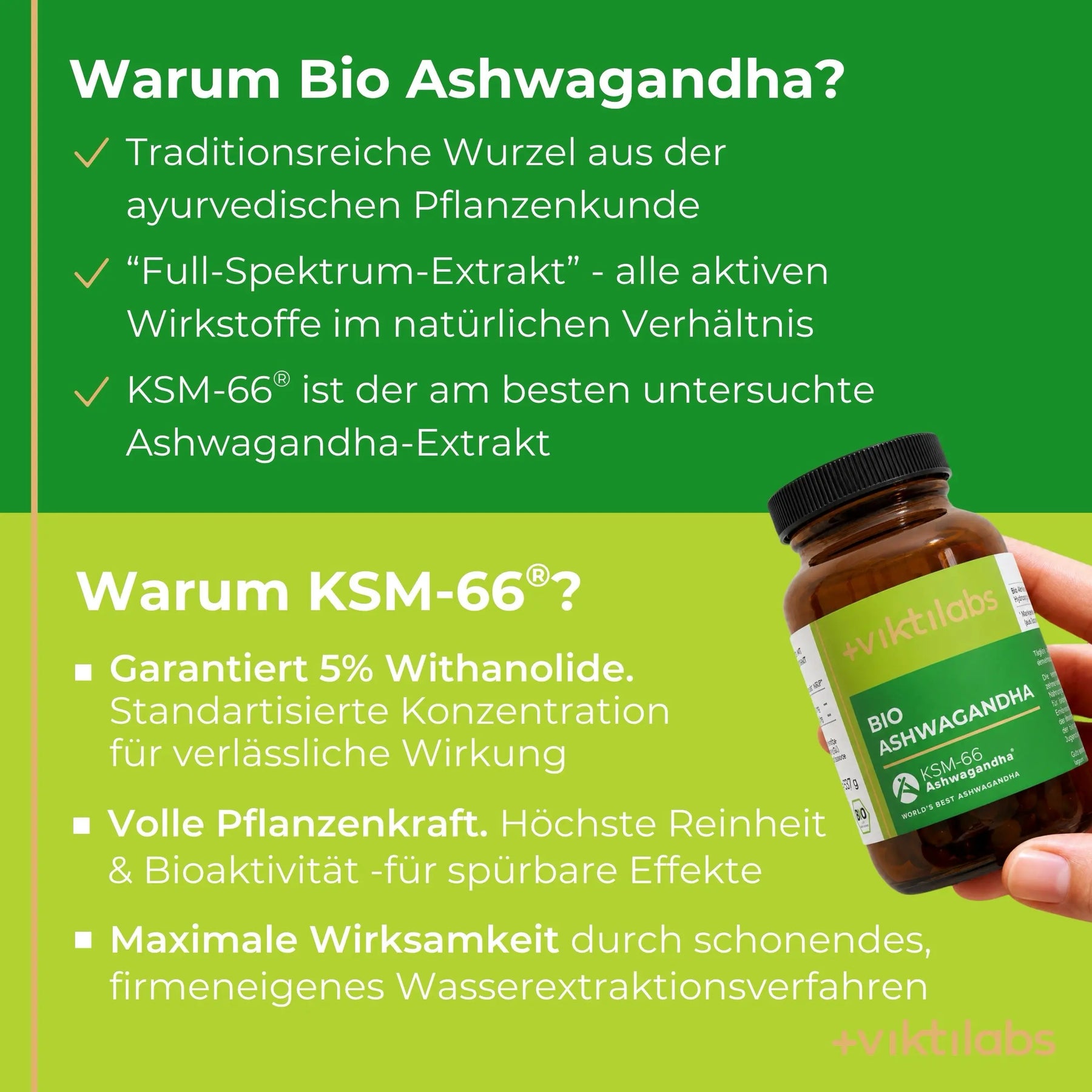 viktilabs-Ashwagandha-infografik-warum-unser-produkt [lang-de]