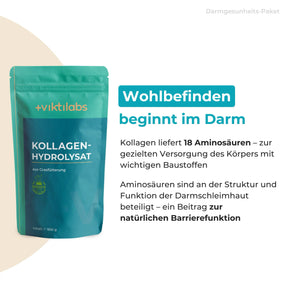 viktilabs-bundle-darmgesundheit-paket-produkt-1 [lang-de]