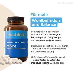 viktilabs-bundle-entgiftungs-paket-produkt-1 [lang-de]