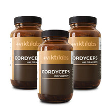 viktilabs-cordyceps-3-non-perspective