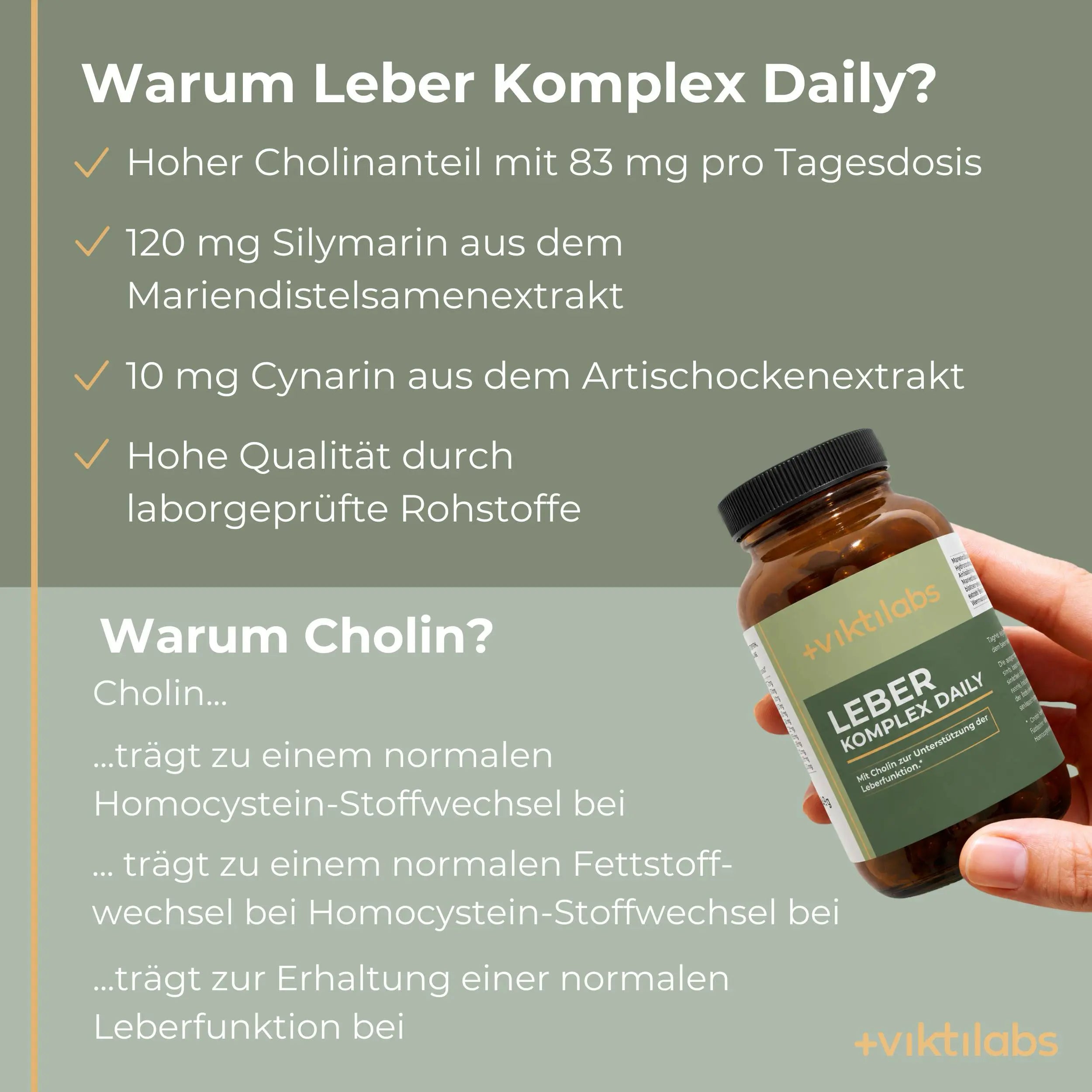 viktilabs-leber-komplex-infografik-warum-unser-produkt [lang-de]