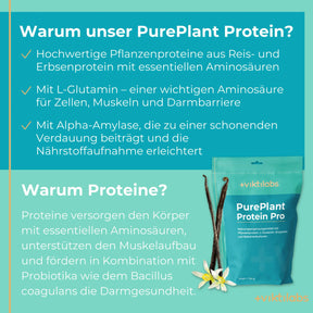 viktilabs-pure-plant-protein-pro-vanille-infografik-warum-unser-produkt [lang-de]