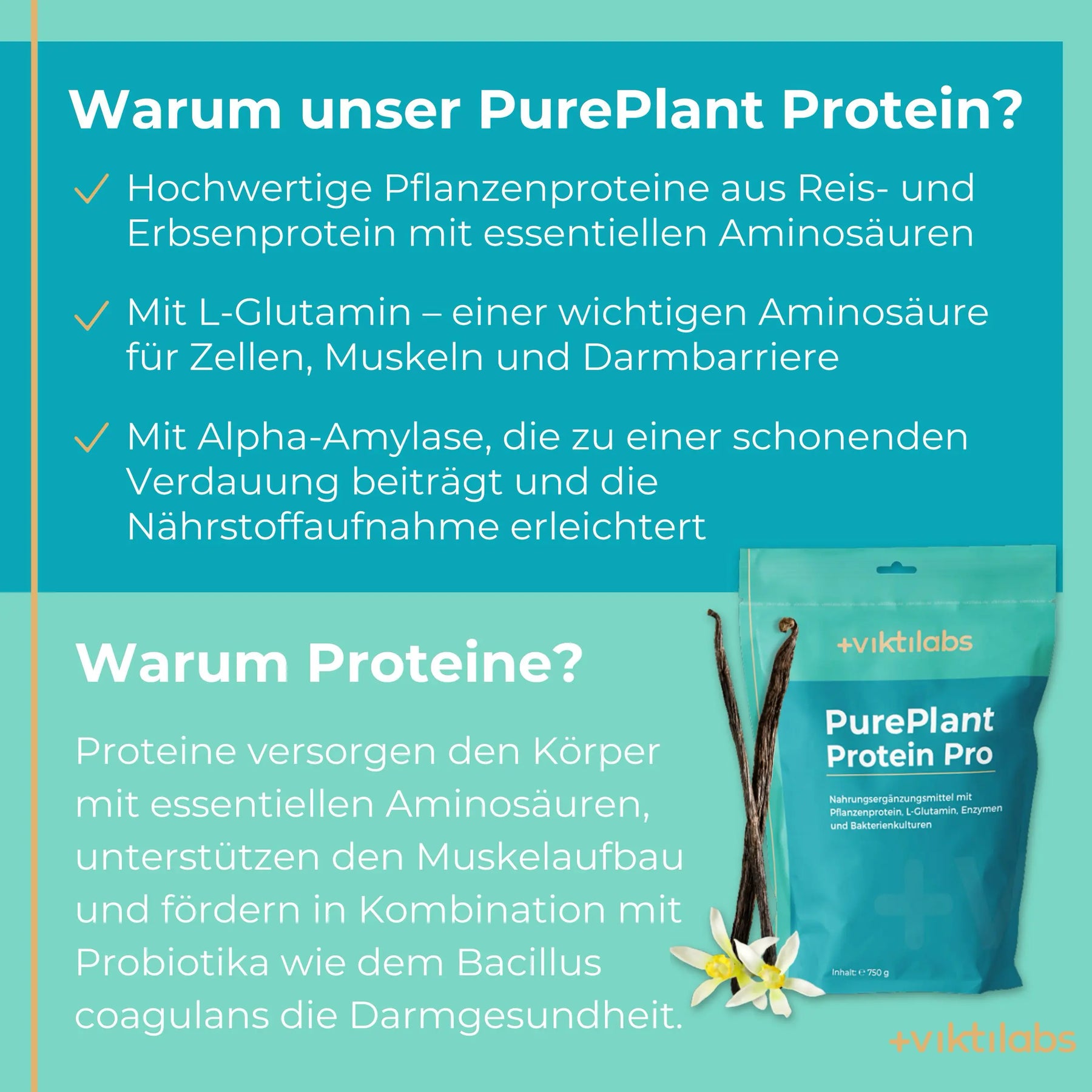 viktilabs-pure-plant-protein-pro-vanille-infografik-warum-unser-produkt [lang-de]