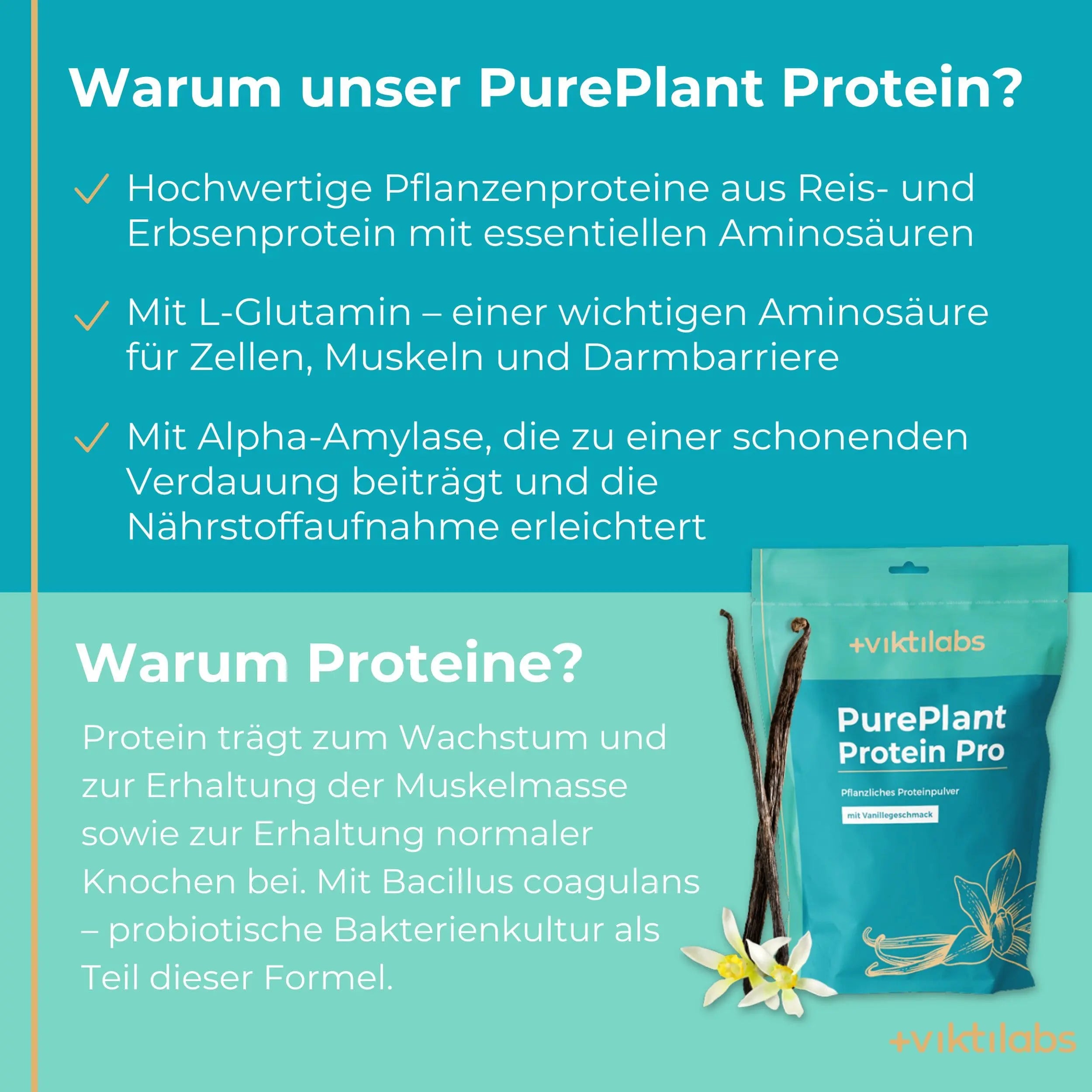 viktilabs-pure-plant-protein-pro-vanille-infografik [lang-de]