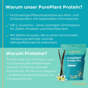 viktilabs-pure-plant-protein-pro-vanille-infografik [lang-de]