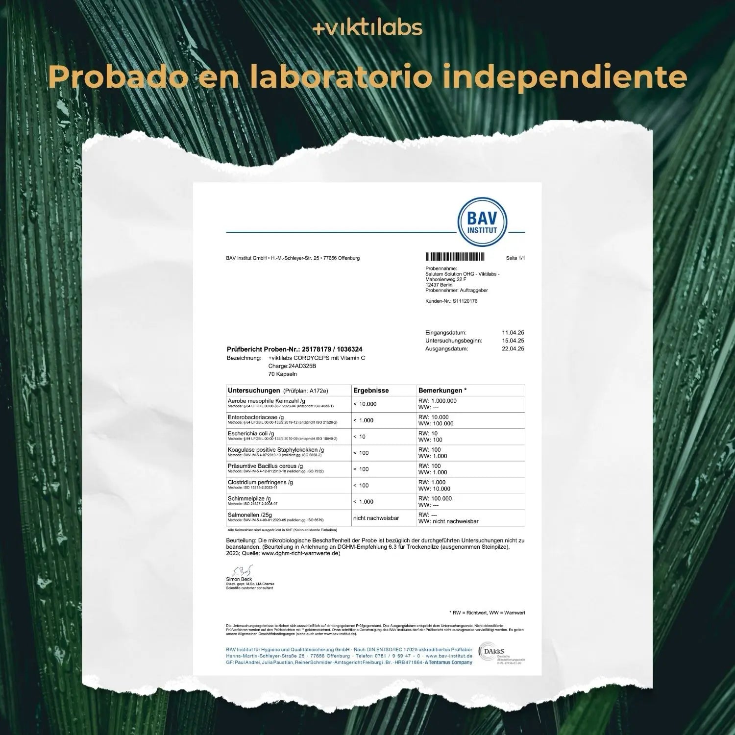 viktilabs-cordyceps-zertifikat-1 [lang-es]