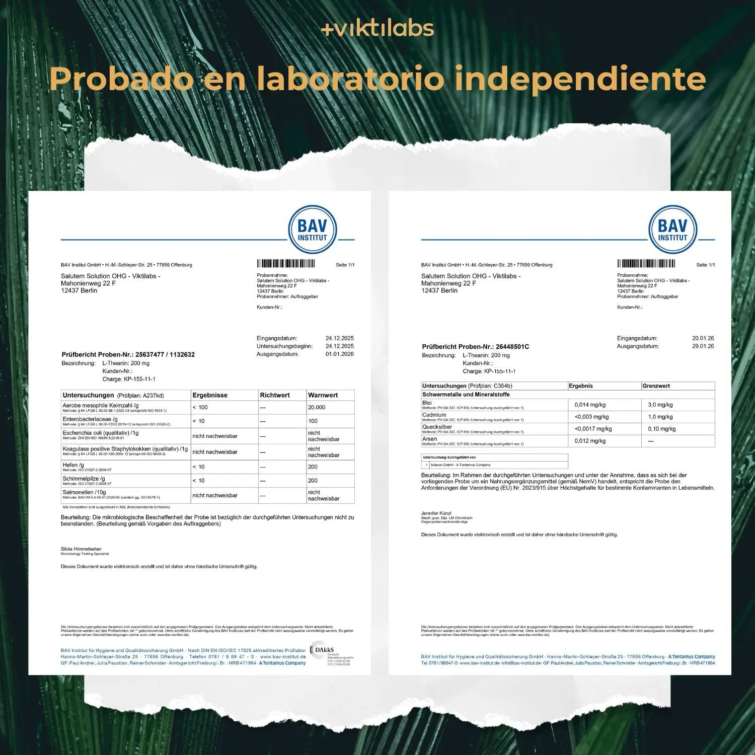 viktilabs-l-theanin-zertifikat-11 [lang-es]