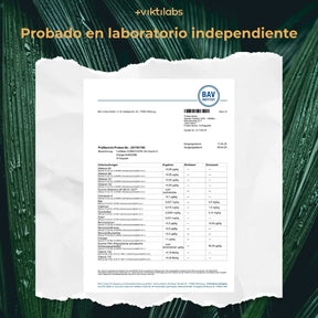 viktilabs-cordyceps-zertifikat-2 [lang-es]