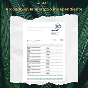 viktilabs-pureplant-zertifikat-1 [lang-es]