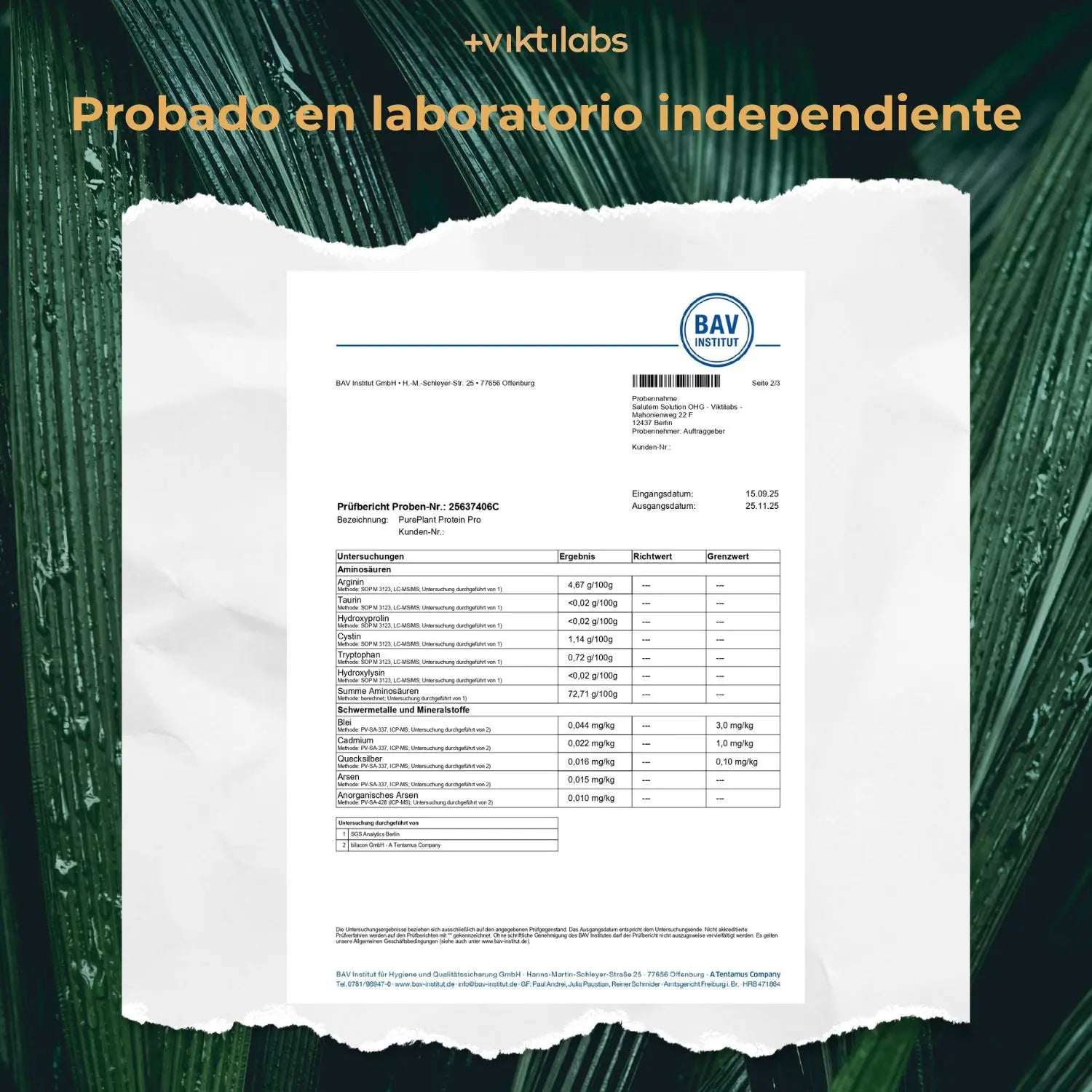 viktilabs-pureplant-zertifikat-2 [lang-es]