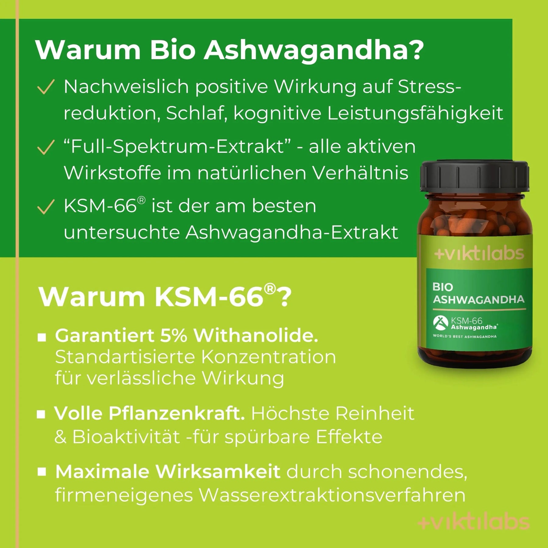 viktilabs-Ashwagandha-infografik-warum-unser-produkt [lang-de]