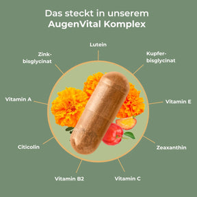 viktilabs-augenvitalkomplex-infografik-inhaltsstoffe [lang-de]