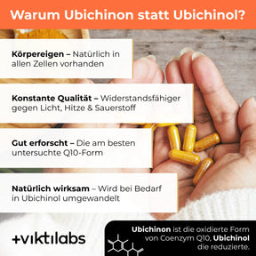 viktilabs-coenzym-q10-infografik-extra-info [lang-de]