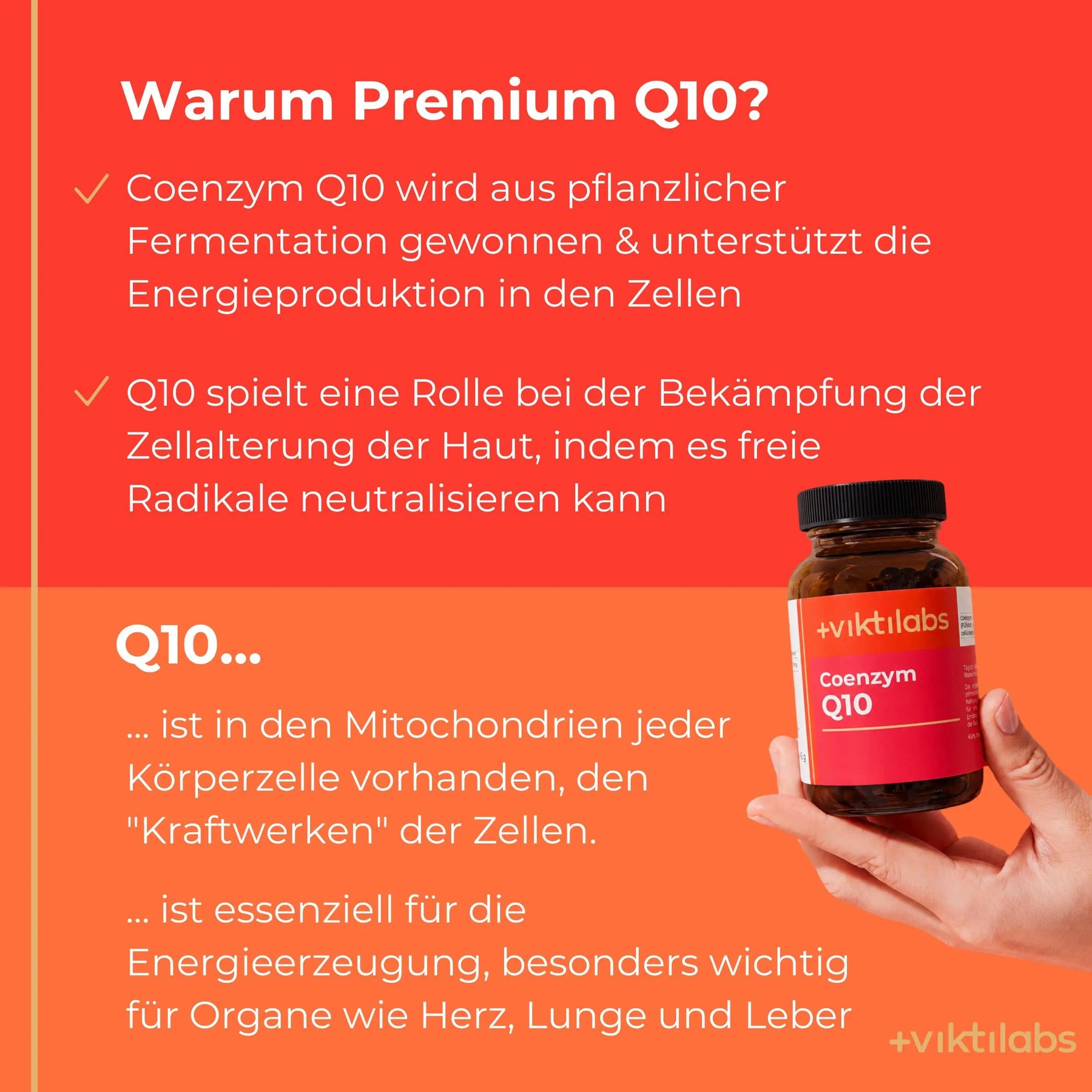 viktilabs-coenzym-q10-infografik-warum-unser-produkt [lang-de]