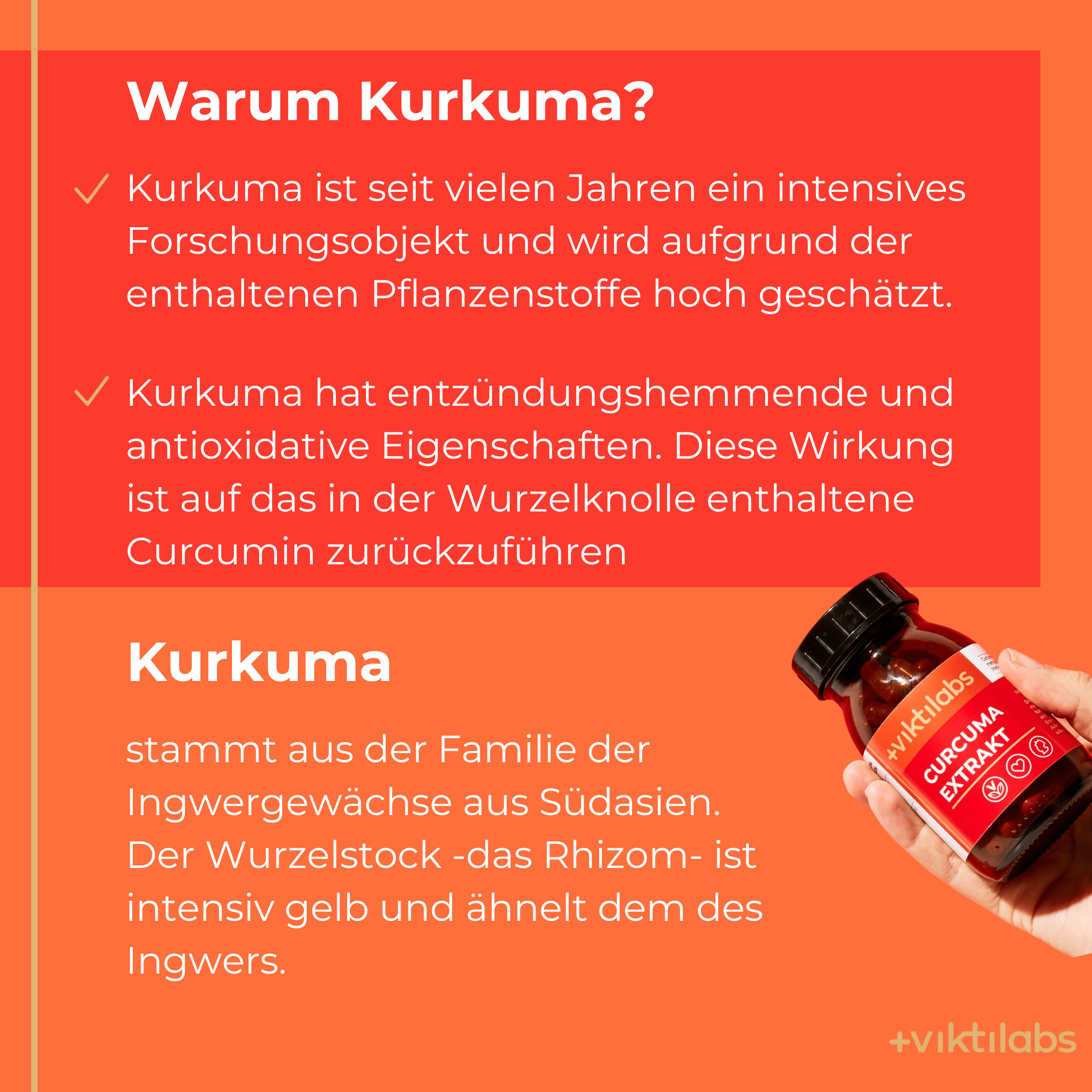 Viktilabs