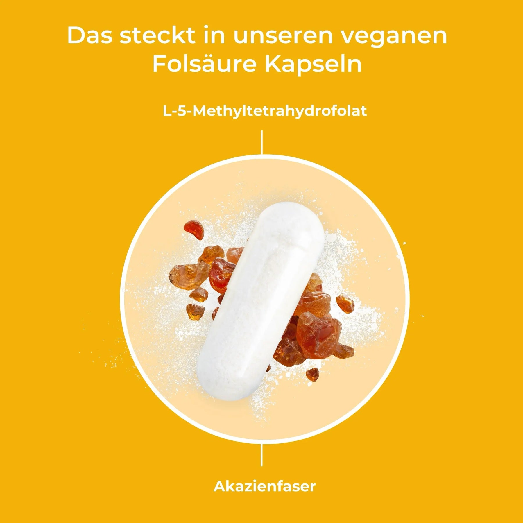 viktilabs-folsäure-infografik-inhaltsstoffe [lang-de]