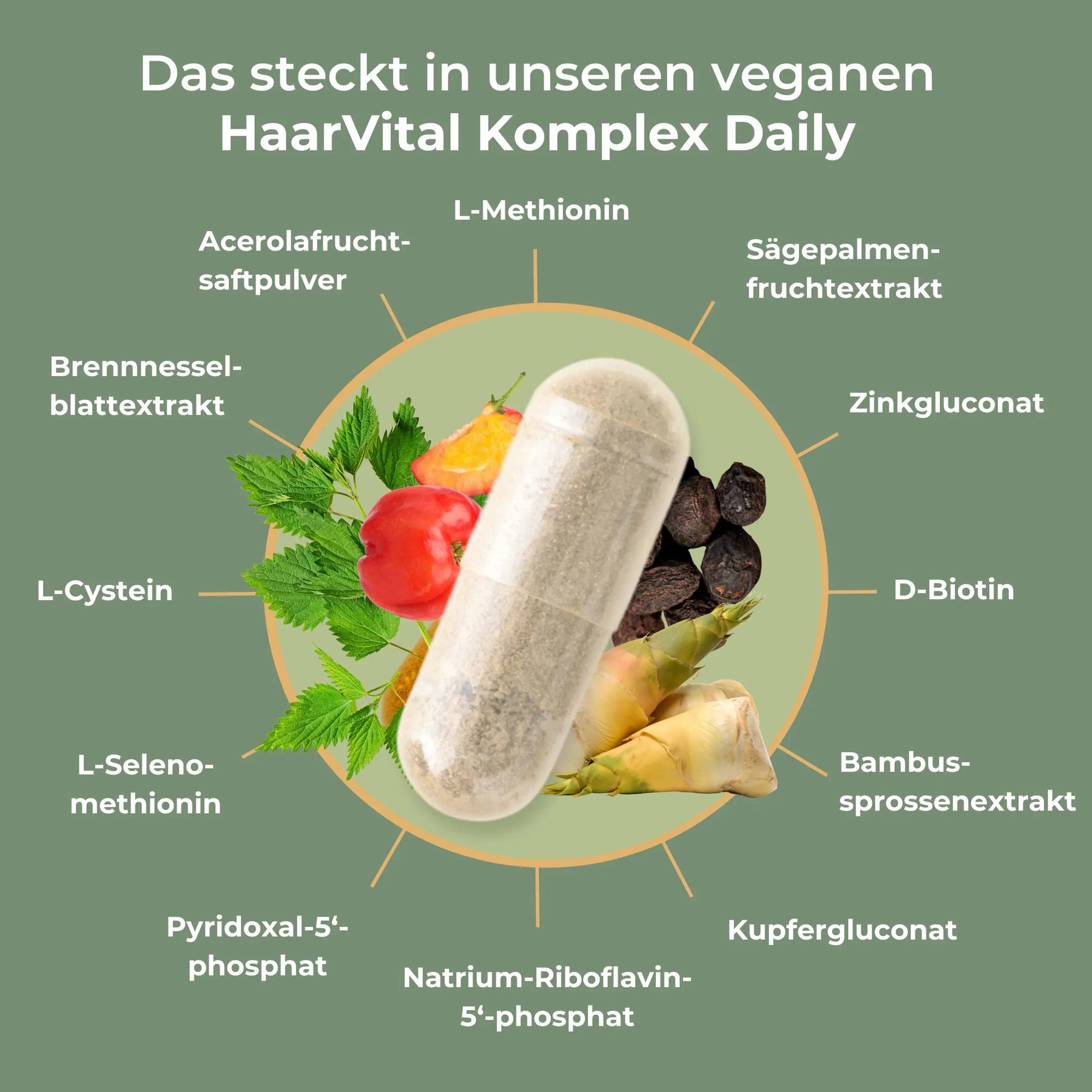 viktilabs-haarvital-komplex-infografik-inhaltsstoffe [lang-de]