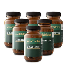 viktilabs-l-carnitin-6 non-perspective
