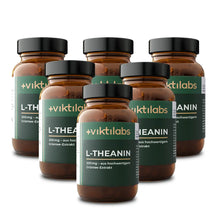 viktilabs-l-theanin-6 non-perspective
