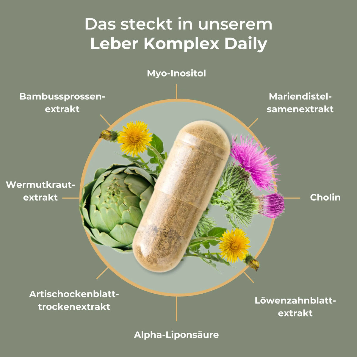 viktilabs-leber-komplex-infografik-inhaltsstoffe [lang-de]