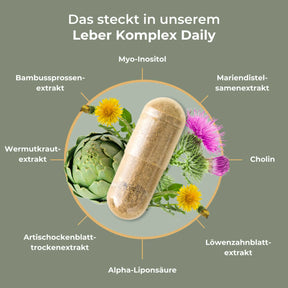 viktilabs-leber-komplex-infografik-inhaltsstoffe [lang-de]