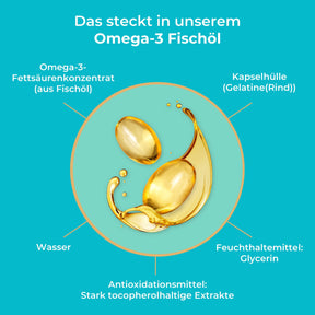 viktilabs-omega-3-fischoel-infografik-inhaltsstoffe [lang-de]