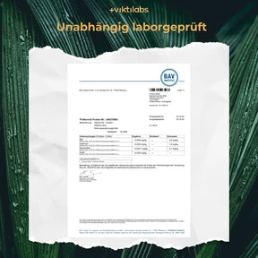 viktilabs-vitamin-d3-zertifikat-1 [lang-de]