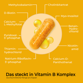 07-Viktilabs-VitaminBKomplexForte-Zusammensetzung 1754c06b-8efe-4b49-bef5-ae1c3f74615a [lang-de]