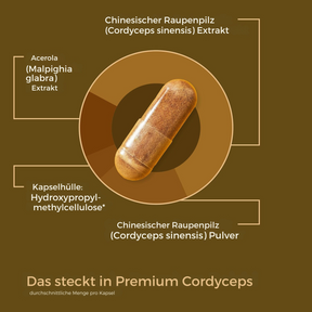 GrafikKapselPremiumCordyceps [lang-de]