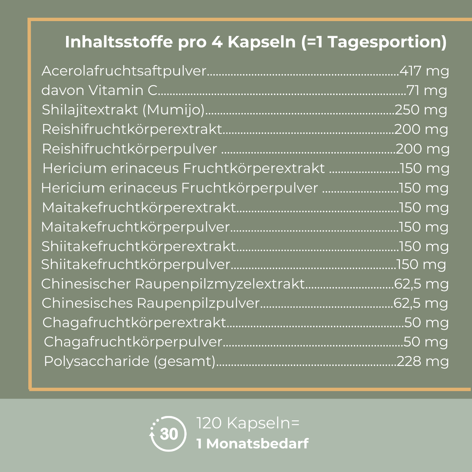 Viktilabs MykoBalance Pilzkomplex Info 1 [lang-de]